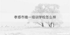 孝感市唯一培训学校怎么样