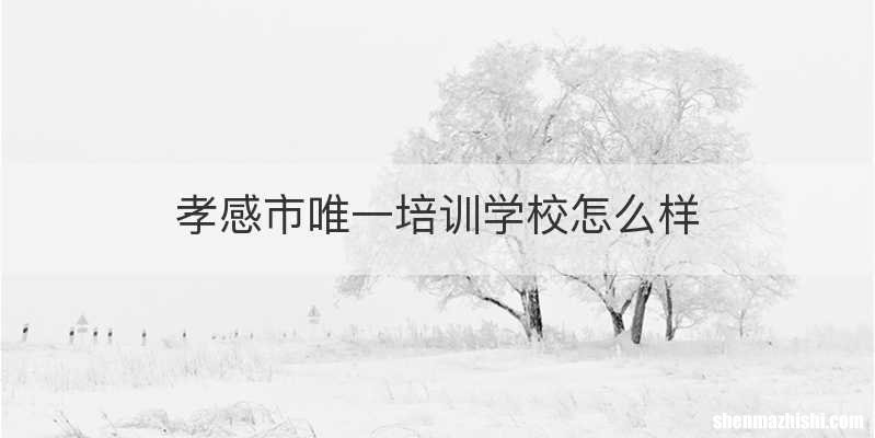 孝感市唯一培训学校怎么样