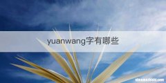 yuanwang字有哪些