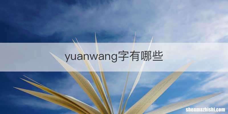 yuanwang字有哪些