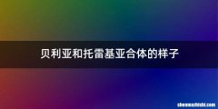 贝利亚和托雷基亚合体的样子