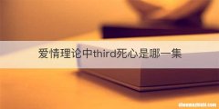 爱情理论中third死心是哪一集
