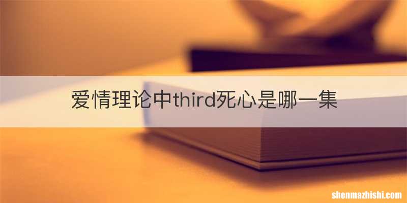 爱情理论中third死心是哪一集