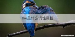 the是什么词性属性