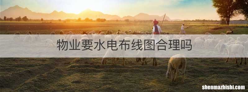 物业要水电布线图合理吗