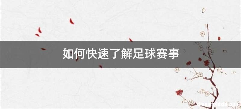 如何快速了解足球赛事