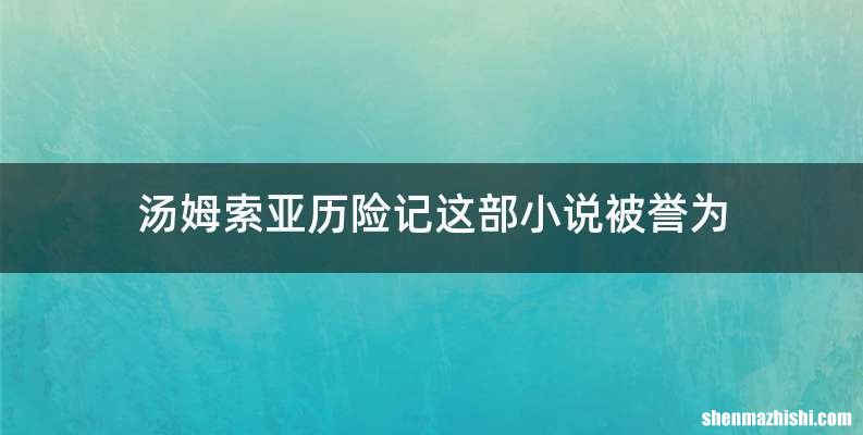 汤姆索亚历险记这部小说被誉为