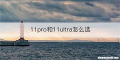 11pro和11ultra怎么选