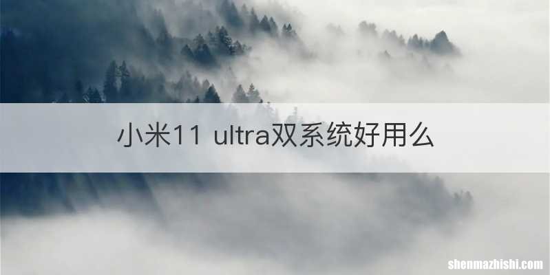 小米11 ultra双系统好用么