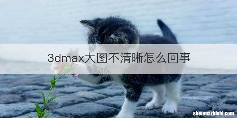 3dmax大图不清晰怎么回事
