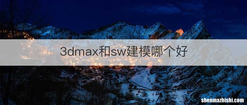 3dmax和sw建模哪个好