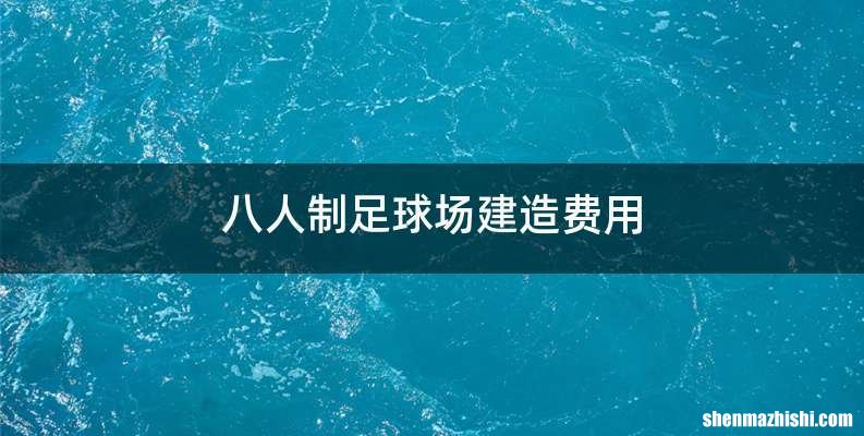 八人制足球场建造费用
