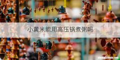 小黄米能用高压锅煮粥吗