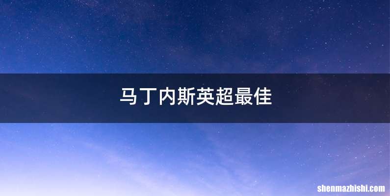 马丁内斯英超最佳