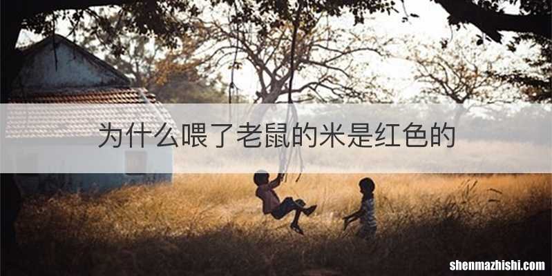 为什么喂了老鼠的米是红色的