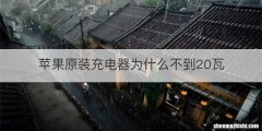 苹果原装充电器为什么不到20瓦