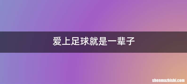 爱上足球就是一辈子