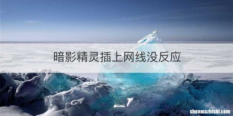 暗影精灵插上网线没反应