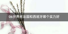06世界杯法国和西班牙哪个实力好