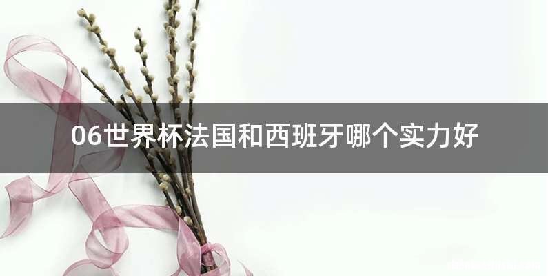 06世界杯法国和西班牙哪个实力好