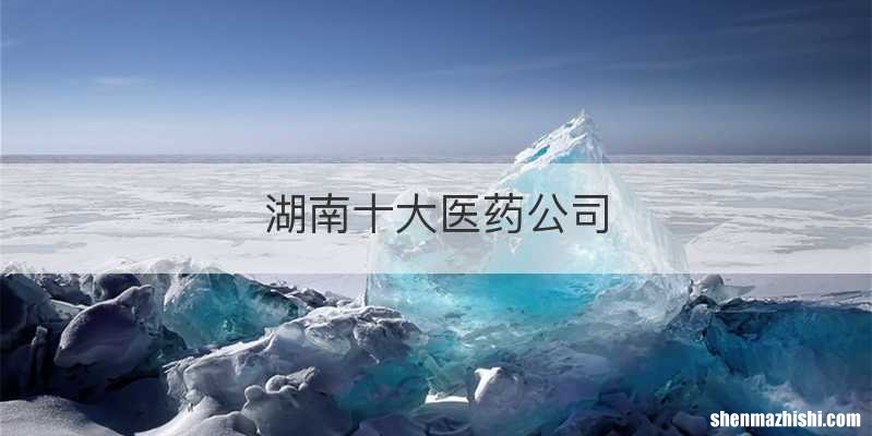 湖南十大医药公司
