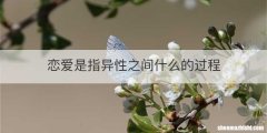 恋爱是指异性之间什么的过程