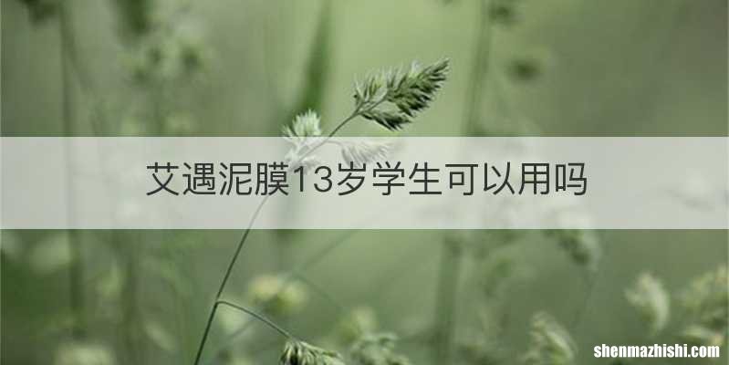 艾遇泥膜13岁学生可以用吗