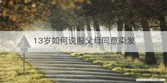13岁如何说服父母同意染发