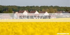 松针能做汽水的原理