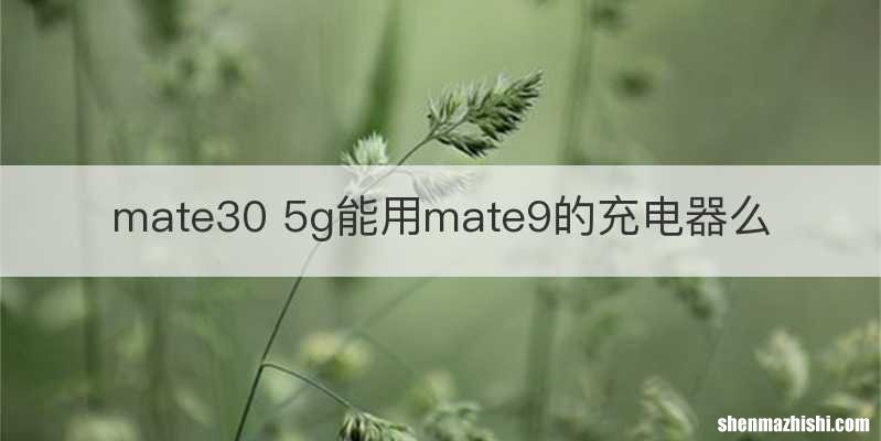 mate30 5g能用mate9的充电器么