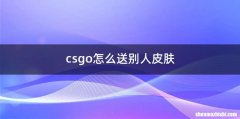 csgo怎么送别人皮肤