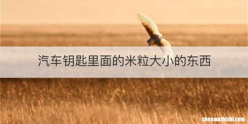 汽车钥匙里面的米粒大小的东西