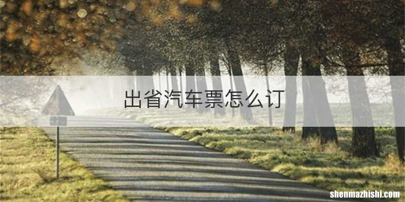 出省汽车票怎么订