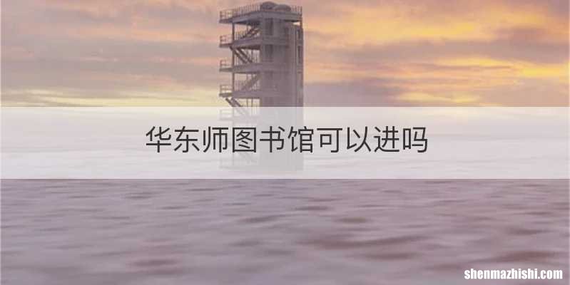 华东师图书馆可以进吗