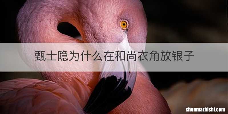 甄士隐为什么在和尚衣角放银子