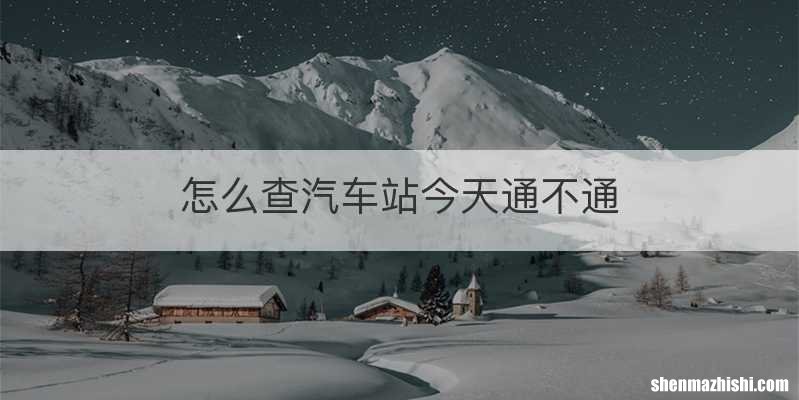 怎么查汽车站今天通不通