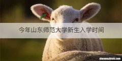 今年山东师范大学新生入学时间