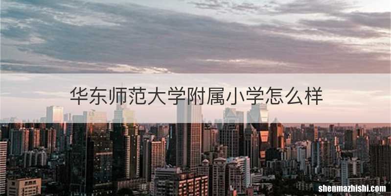 华东师范大学附属小学怎么样