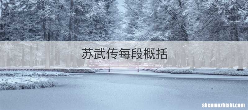 苏武传每段概括