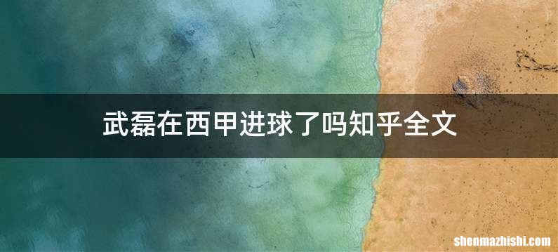 武磊在西甲进球了吗知乎全文