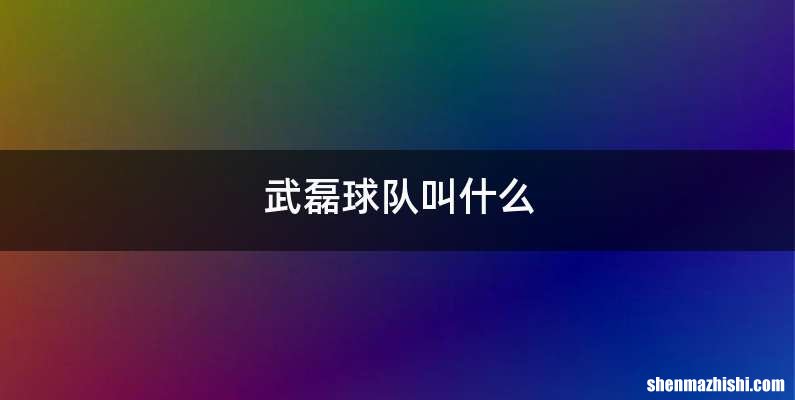 武磊球队叫什么