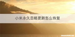 小米永久忽略更新怎么恢复