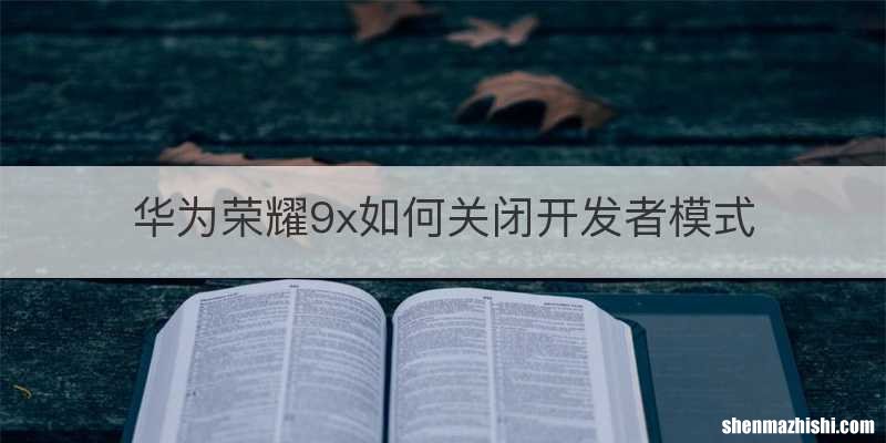 华为荣耀9x如何关闭开发者模式