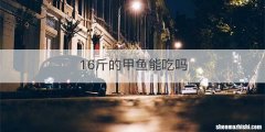 16斤的甲鱼能吃吗