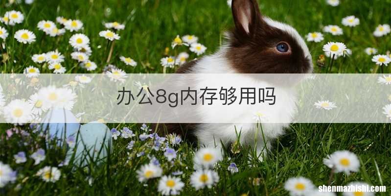 办公8g内存够用吗