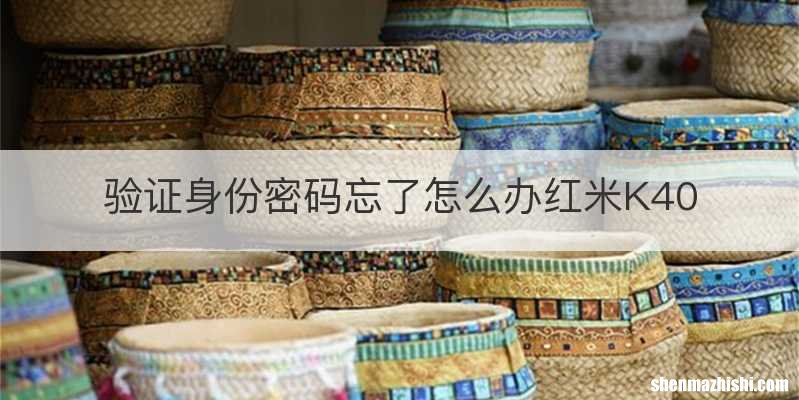 验证身份密码忘了怎么办红米K40