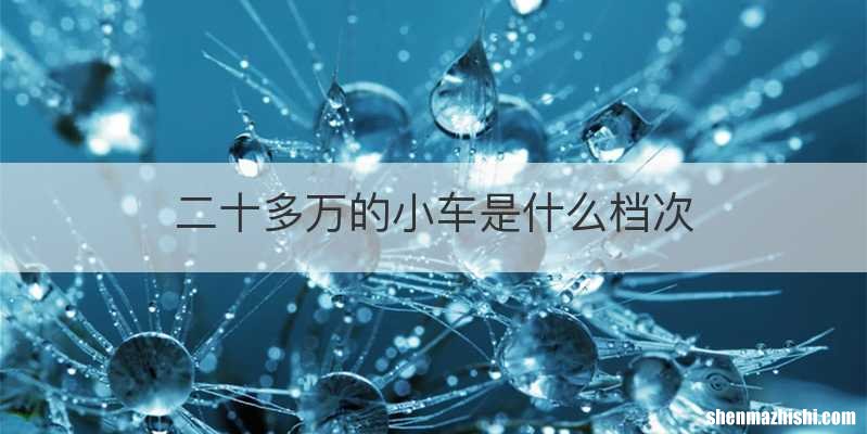 二十多万的小车是什么档次
