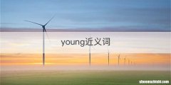 young近义词