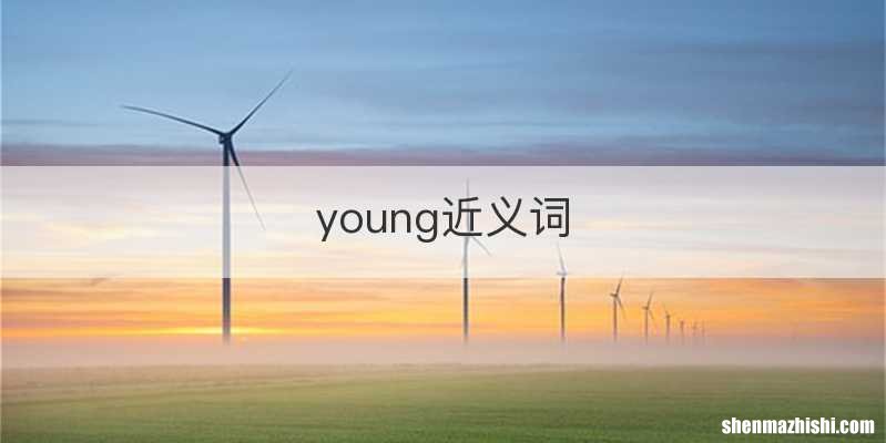 young近义词