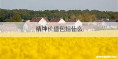 精神价值包括什么